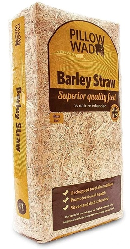 Pillow Wad Premier Animal Barley Straw Maxi
