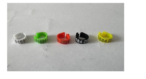 New Racing Pigeon Clipped Phone Leg Ring (Custom Made Identity) 5Mm Height X50
