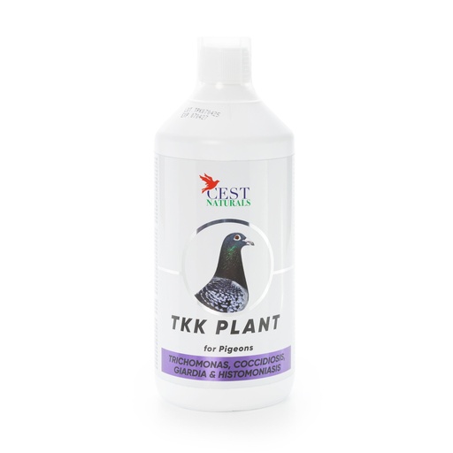 [CES135] TKK Plant (1L)