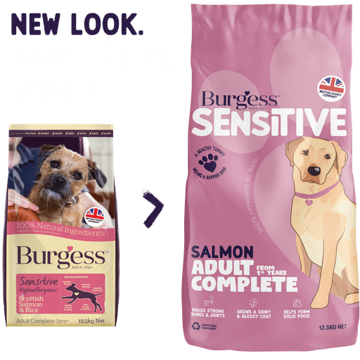 Burgess Sensitive Scottish Salmon & Rice Dog Food -