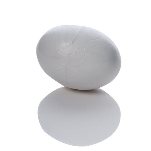 [NES055] Plastic Eggs (10 Pack)