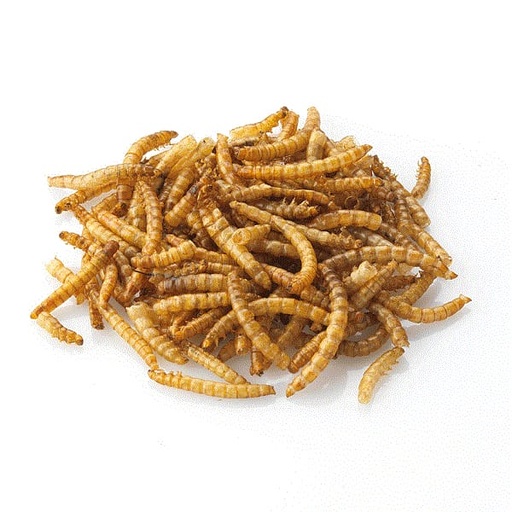 [WB042] Mealworms (Dried) (12.5kg)