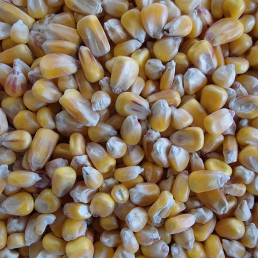 [FPA040] Maize (4kg)