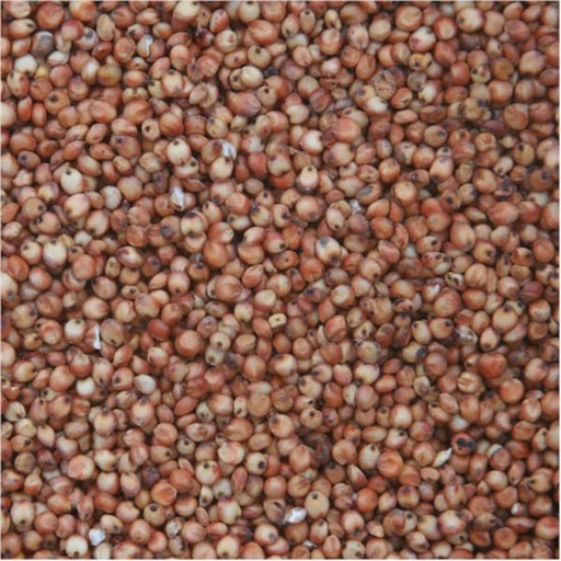 [SB095] Red Dari (Milo) (4kg)