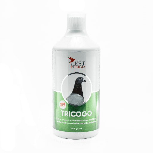 [CES145] Tricogo (1L)