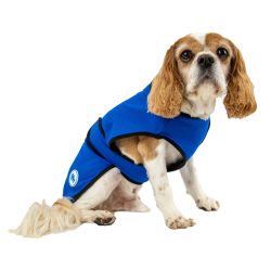 Ancol Ice Paws Cooling Coat Xsmall