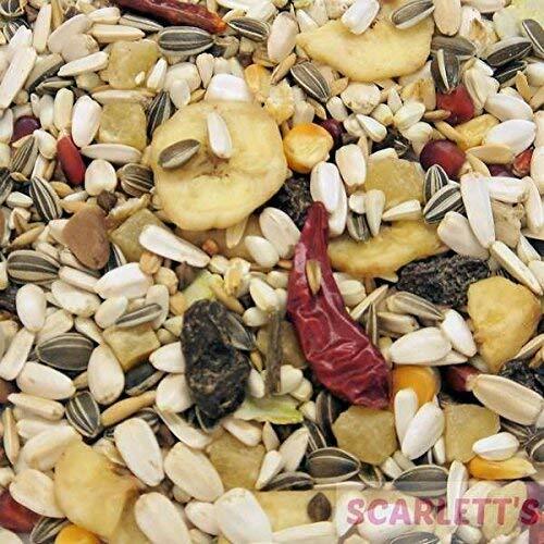 Colonels Tropical Parrot - Blend Of Seeds & Nuts
