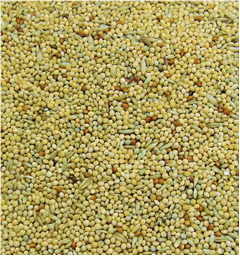 Colonels Bbb Budgie Seeds Feed Mix - Various Millets, Groats & Canary