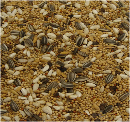 Colonels Parakeet & Lovebird Seeds Feed Mix - Seven Seeds