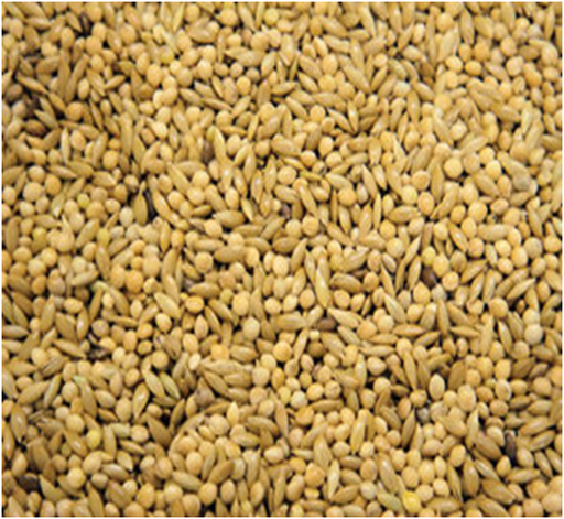 Colonels Budgie 50/50 Seeds Feed Mix - White Millets& Canary Seeds