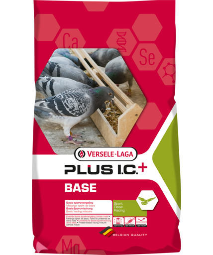 [VER127] Versele Laga Base Plus I.C. + Racing Pigeon Feed