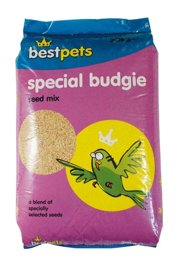 Bestpets Special Budgie