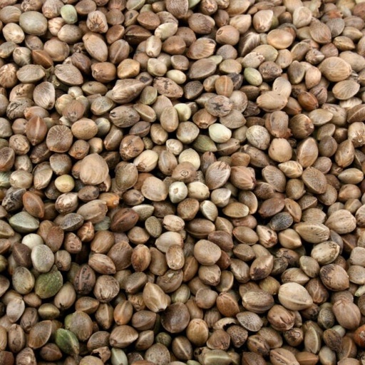Hemp Seed (Wild Birds & Fishing Bait Mix)